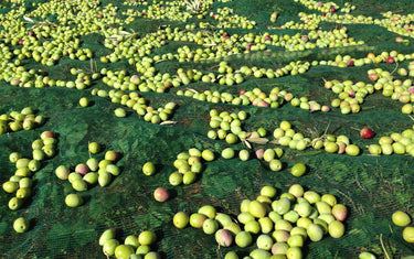 What organic farming really means?